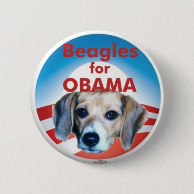 Beagles für Obama Button (Vorderseite)