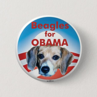 Beagles für Obama Button