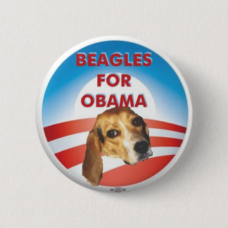 Beagles für Obama Button