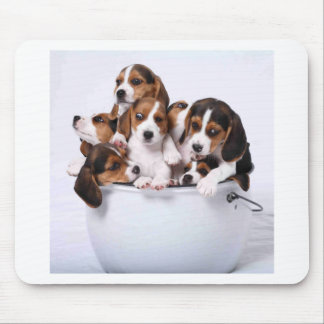 Beagles im Eimer Mousepad