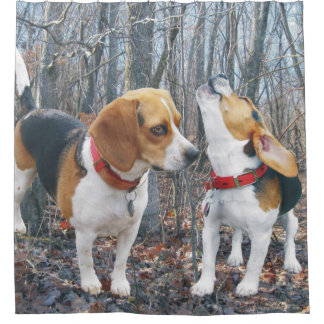 Beagles im Holz Duschvorhang