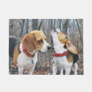 Beagles in der Holz-Tür-Matte Fußmatte