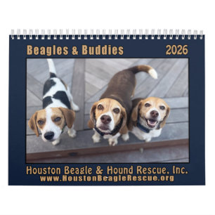 Beagles und Buddies 2026 Kalender