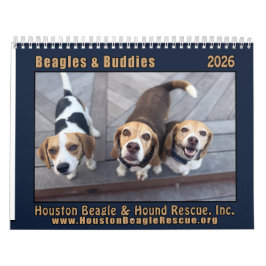 Beagles und Freunde 2026 Kalender