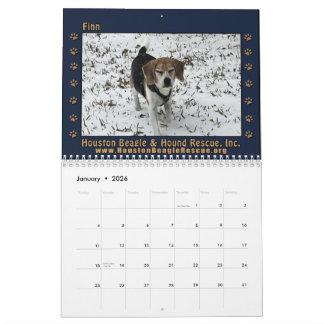 Beagles und Freunde 2026 Kalender