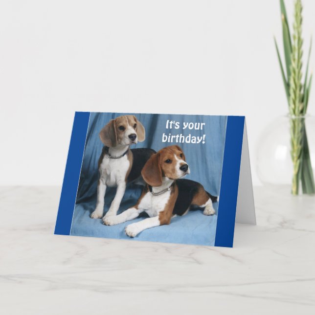 **BEAGLES** WISHING A VERY HAPPY BIRTHDAY** KARTE (Vorderseite)