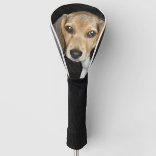 Beaglewelpe 2 golf headcover