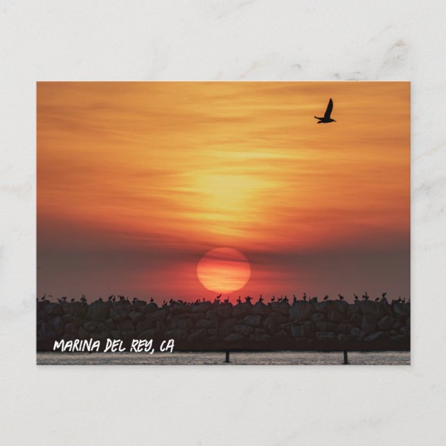 Beaitiful Sunset Colors - Marina Del Rey, CA  Postkarte (Vorderseite)
