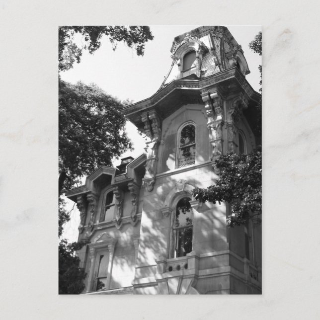 Beale n Blues Series Postkarte (Vorderseite)