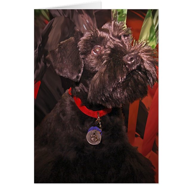 Beam Me Up Scottie (Vorne)