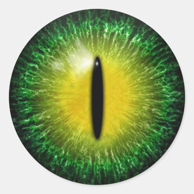 Beängstigende Halloween Dragon Eyeball Runder Aufkleber (Vorderseite)