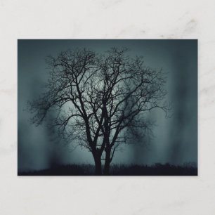 Beängstigende Halloween-Nacht mit Raven Crow Postc Postkarte