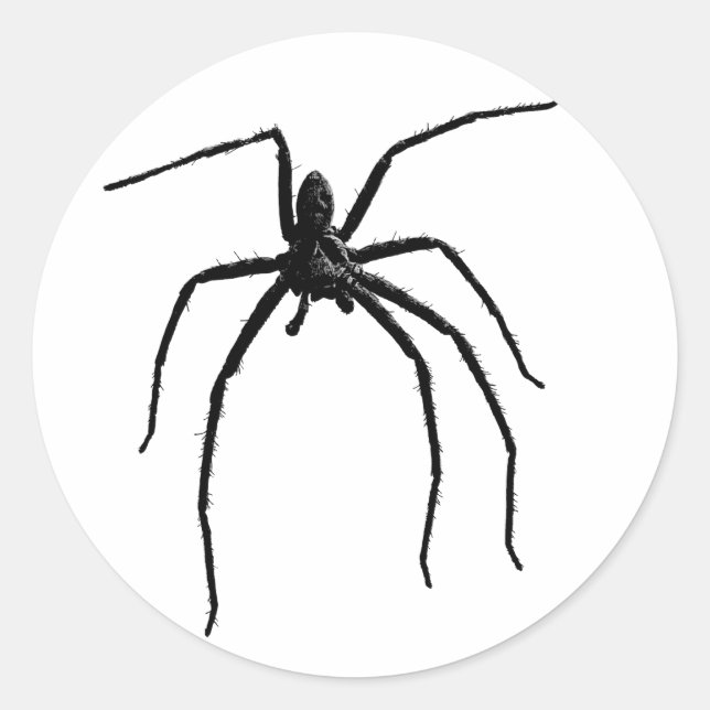 Beängstigende halloween spinne runder aufkleber (Vorderseite)