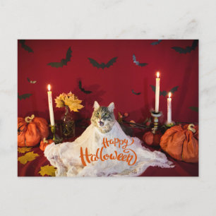 Beängstigende Katze im sonnigen Halloween-Kostüm Feiertagspostkarte