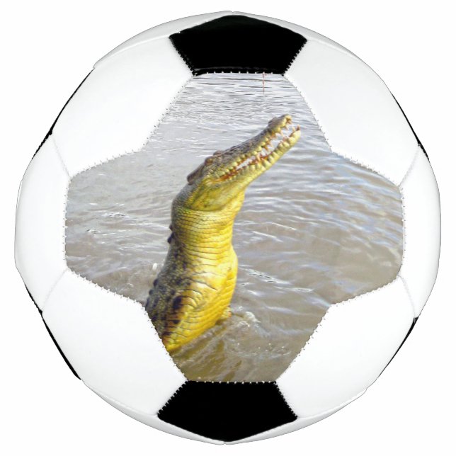 Beängstigende Schnapper: Der Sprung des Krokodils, Fußball (Vorderseite)