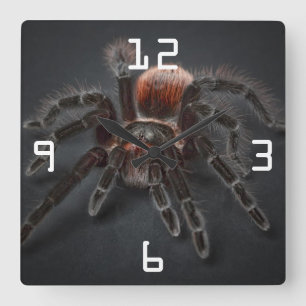Beängstigende Tarantula Spider Arachnophobie Quadratische Wanduhr