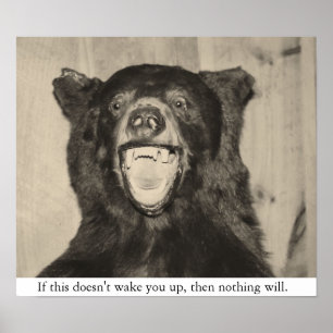 Beängstigender Bär Poster