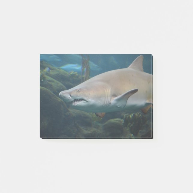 Beängstigender großer weißer Haifisch Post-it Klebezettel (Vorderseite)
