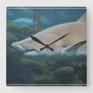 Beängstigender großer weißer Haifisch Quadratische Wanduhr