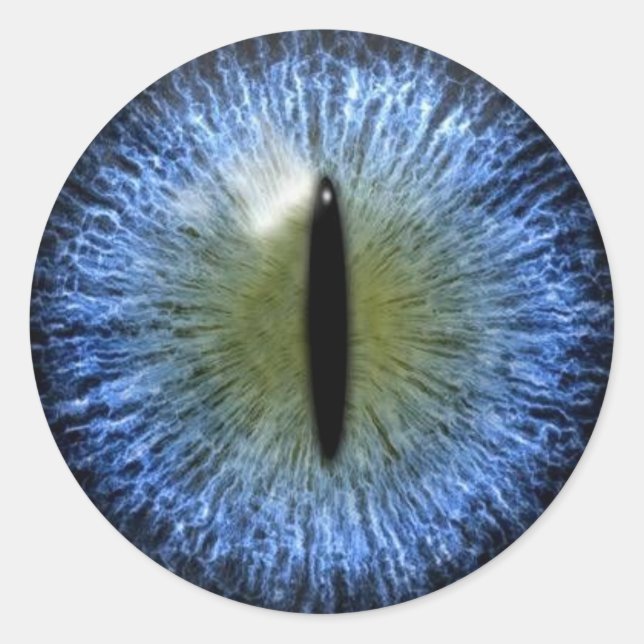 Beängstigender Halloween Cat Eyeball Runder Aufkleber (Vorderseite)