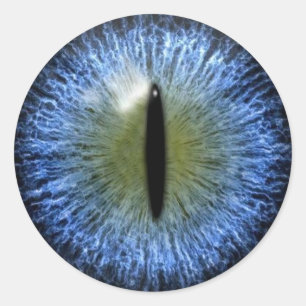 Beängstigender Halloween Cat Eyeball Runder Aufkleber