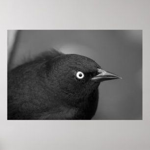 Beängstigender Hitchcock Poster