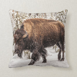 Beängstigendes Bison (Bison bison) - Buffalo - Sch Kissen