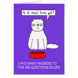 Beantworten Sie den Fragentag Ihrer Katze im Janua