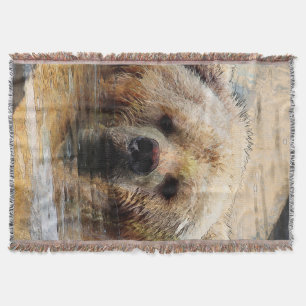 Bear20150804 Decke