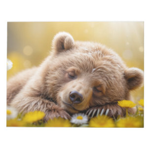 Bear Animal Fun Miniatur Fantastische Surreal Tedd Notizblock
