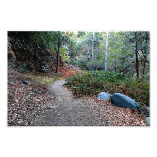 Bear Canyon Campground Fotodruck