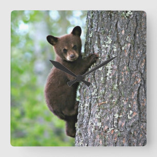 Bear Cub Climbing a Tree Quadratische Wanduhr