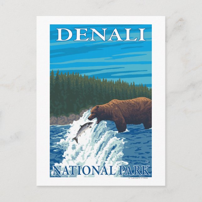 Bear Fishing in River - Denali National Park, Postkarte (Vorderseite)