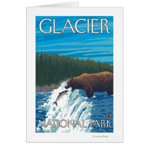 Bear Fishing in River - Glacier National Park,