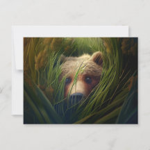 Bear-Grab-Postkarten