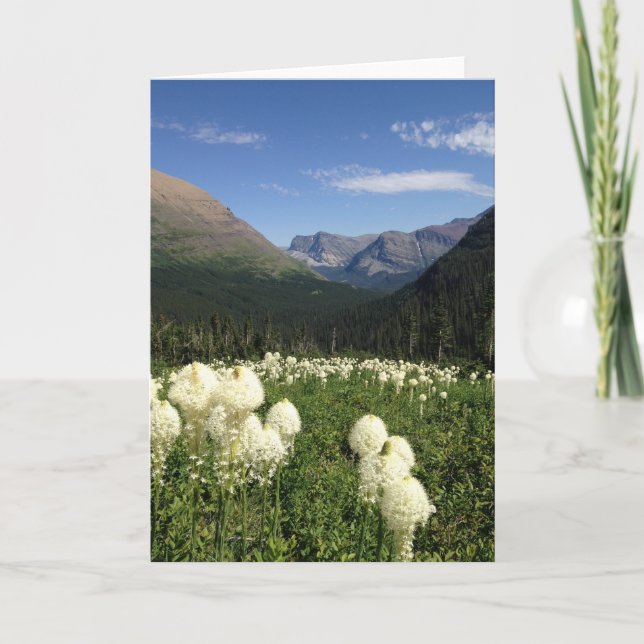 Bear Grass Glacier Nationalpark Karte (Vorderseite)