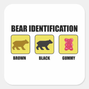 Bear Identification Funny Quadratischer Aufkleber