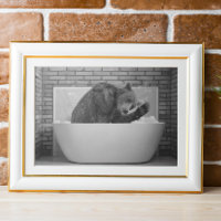 Bear  in Bathtub Bubble bath Animal 