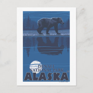 Bear in Moonlight - Denali National Park, Alaska Postkarte