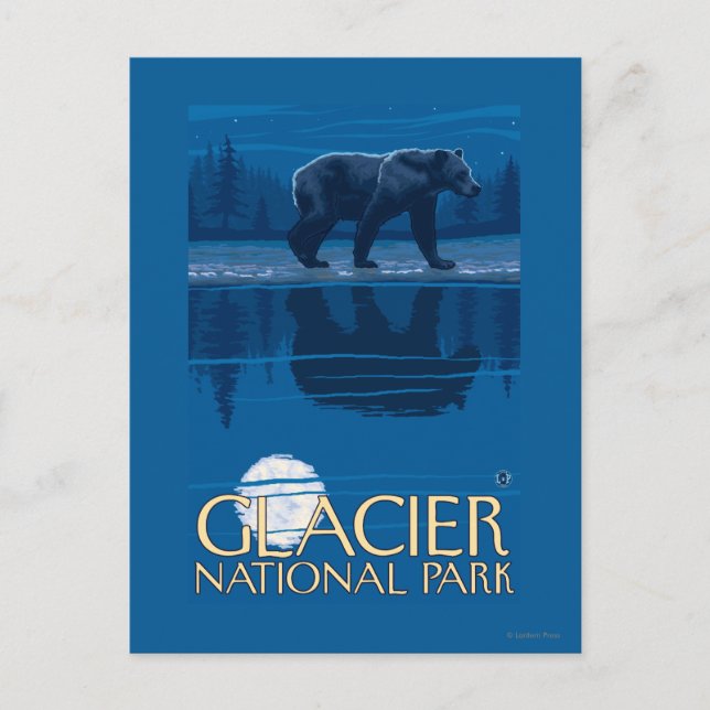 Bear in Moonlight - Glacier National Park, MT Postkarte (Vorderseite)