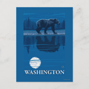 Bear in Moonlight - Washington Postkarte
