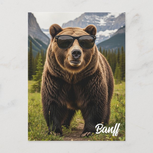 Bear in Sunglasses Banff National Park Kanada Postkarte (Vorderseite)