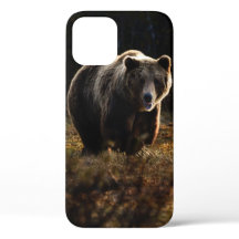 Bear iPhone 12 Fall