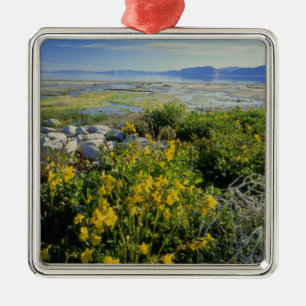 BEAR LAKE, UT, US, Affen-Blume & Krummling, Silbernes Ornament