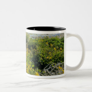BEAR LAKE, UT, US, Affen-Blume & Krummling, Zweifarbige Tasse