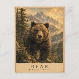 Bear Mountain Wälder VINTAGE Postkarte