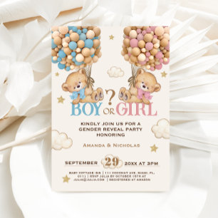 Bear Pink Blue Balloons Vorwarte Geschlechtsverkeh Einladung