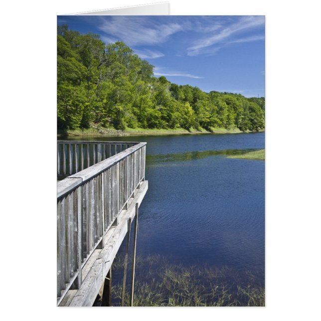 Bear River, NS (Vorne)