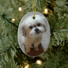 Bear the Malshi Oval Weihnachtsschmuck