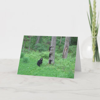 Bear & Three Cubs - Cards - Reitzner Karte